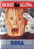 Home Alone - Game Gear