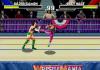 WWF WrestleMania : The Arcade Game - 32X