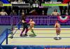 WWF WrestleMania : The Arcade Game - 32X