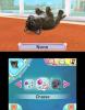 Chiens et Chats 3D : Mes Meilleurs Amis - 3DS