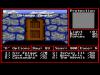 Might and Magic II  - Amiga