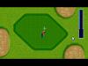 Tournament Golf - Amiga