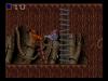 Shadow Of The Beast - Amiga