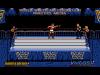 WWF : European Rampage Tour - Amiga