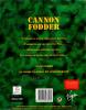 Cannon Fodder - Amiga