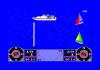 America's Cup Challenge - Amstrad-CPC 464