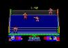 American Tag Team Wrestling - Amstrad-CPC 464