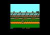 Mega Sports - Amstrad-CPC 464