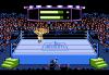 Alex DeMeo's Title Match Pro Wrestling - Apple II