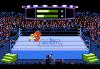 Alex DeMeo's Title Match Pro Wrestling - Apple II