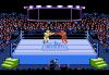 Alex DeMeo's Title Match Pro Wrestling - Apple II