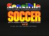 Sensible Soccer : European Champions - Limited Edition Featuring World Cup Teams - Amiga CD32