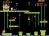 Donkey Kong Junior - Colecovision