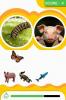 Animal Genius : Le Grand Quiz des Animaux - DS