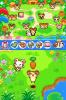 Hamtaro : Joue avec les Ham-Hams - DS