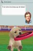 Nintendogs : Labrador & Ses Amis - DS