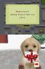 Nintendogs : Labrador & Ses Amis - DS