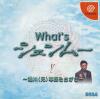 What's Shenmue - Dreamcast