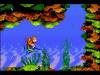 Donkey Kong Country - Game Boy Advance