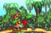 Donkey Kong Country - Game Boy Advance