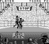 Best of the Best : Championship Karate - Game Boy