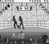 Best of the Best : Championship Karate - Game Boy