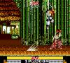 Samurai Shodown - Game Gear