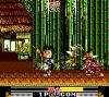 Samurai Shodown - Game Gear