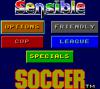 Sensible Soccer : European Champions - Game Gear