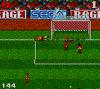 Ultimate Soccer - Game Gear