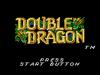 Double Dragon  - Game Gear