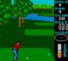 World Class Leader Board Golf - Game Gear