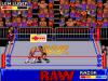 WWF Raw  - Game Gear