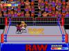 WWF Raw  - Game Gear