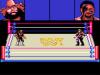 WWF Raw  - Game Gear