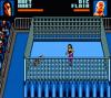 WWF WrestleMania : Steel Cage Challenge - Game Gear