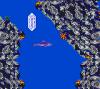 Ecco : The Tides of Time - Game Gear