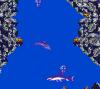 Ecco : The Tides of Time - Game Gear