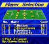 FIFA International Soccer - Game Gear