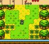 The Legend of Zelda : Oracle of Ages - Game Boy Color