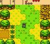 The Legend of Zelda : Oracle of Ages - Game Boy Color