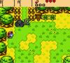 The Legend of Zelda : Oracle of Ages - Game Boy Color