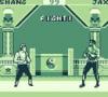 Mortal Kombat II  - Game Boy