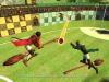 Harry Potter : Coupe Du Monde De Quidditch - GameCube