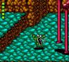 Battletoads - Game Gear