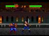 Double Dragon V : The Shadow Falls - Jaguar