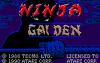 Ninja Gaiden - Lynx