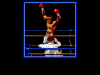 Heavyweight Champ - Master System