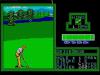 PGA : Tour Golf - Master System