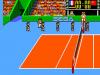 Great Volleyball - Master System